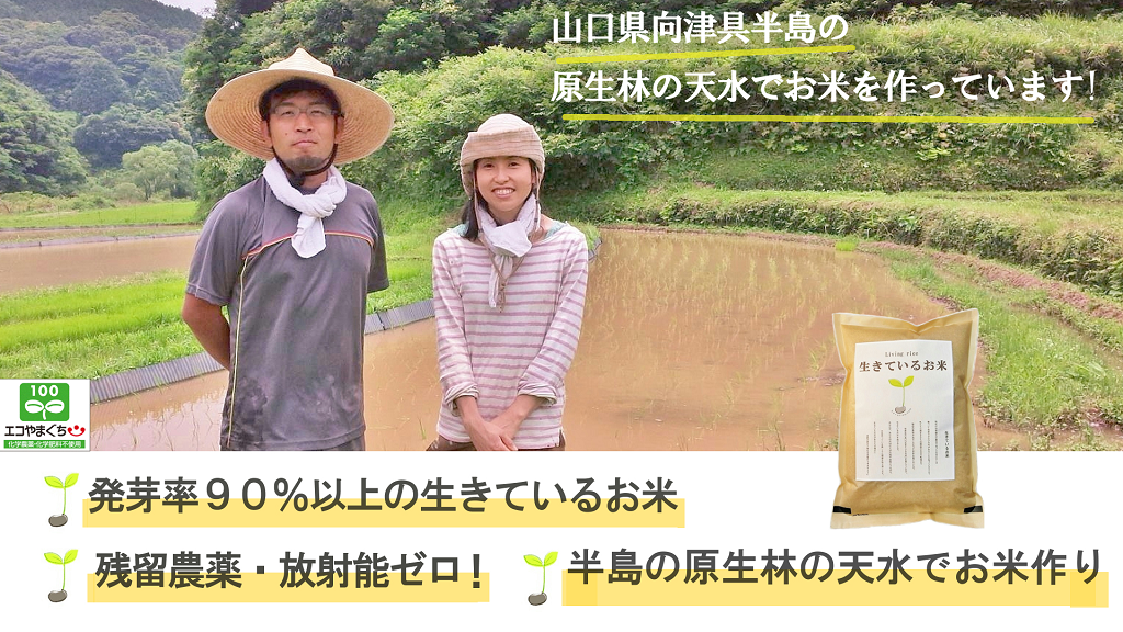 生きているお米 とお宿の くら里木