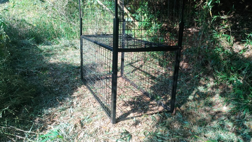 P_20181115_142542_vHDR_On