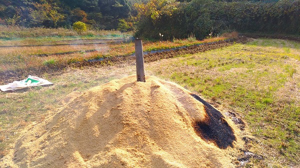 P_20181201_121818_vHDR_On