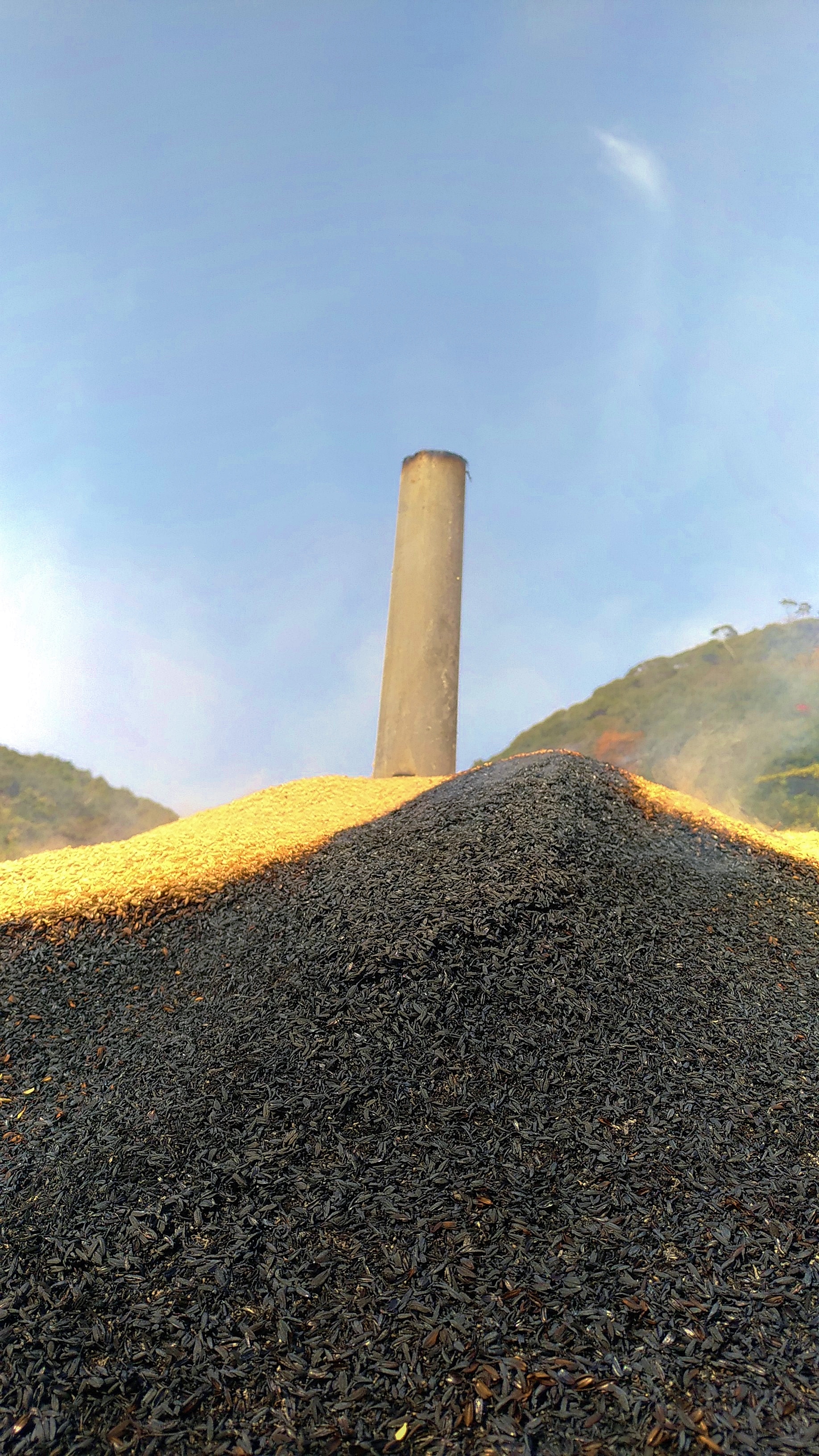 P_20181201_121910_vHDR_On