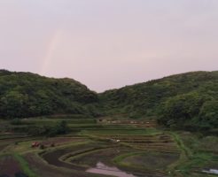 棚田と虹