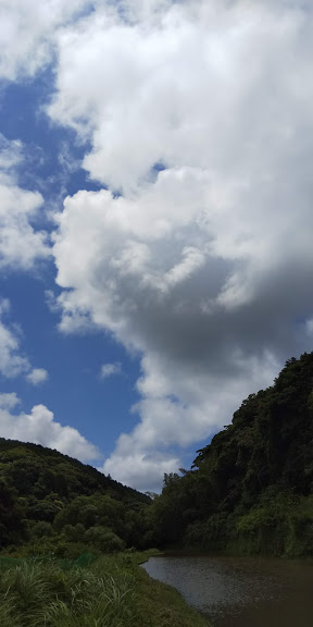 田植え日和