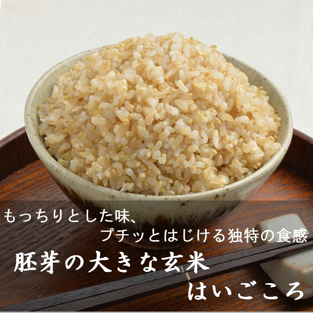 はいごころ